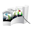 Aqueon Betta Falls Kits