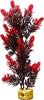 Blue Ribbon Gravel Base Plant - Large Bush Plant Red