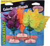 Blue Ribbon Plant - Multipack Mini S. American Fern Cluster