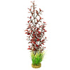 Blue Ribbon Gravel Base Plant - Fiesta Aqua Jungle Red Green