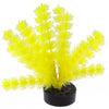 Blue Ribbon Colorburst Plant Foxtail