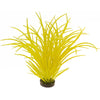 Blue Ribbon Colorburst Plant Ocean Grass