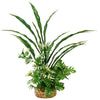 Blue Ribbon Gravel Base Plant - Fiesta Aqua Bush Plant Green