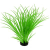 Blue Ribbon Colorburst Plant Ocean Grass