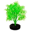 Blue Ribbon Colorburst Plant Dragon Leaf