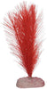 Blue Ribbon Plant - Soft Foxtail Mini