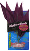 Blue Ribbon Pet Products ABLCB107PL African Sword Plant for Aquarium, Mini, Plum