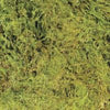 Zoo Med Terrarium Moss