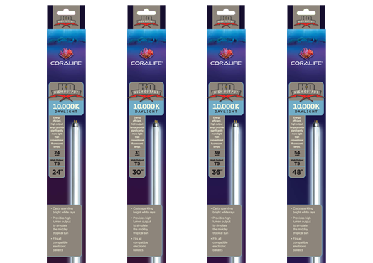 Coralife t5 bulbs outlet