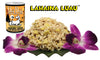 Tiki Dog Lahaina Luau Succulent Chicken on Brown Rice with Sweet Potato & Crab in a Crab Consomme Canned Dog Food