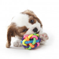 MultiPet Nobbly Wobbly 4inch Dog Toy