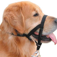 The Company of Animals Halti Headcollar for Dogs