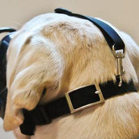 The Company of Animals Baskerville Ultra Muzzle for Dogs