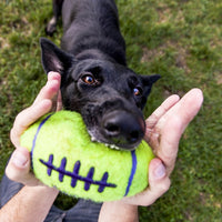 KONG AirDog Squeaker Football Dog Toy