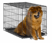 Midwest iCrate Single Door Folding Dog Crate