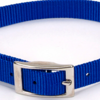 Coastal Pet Products Standard Nylon Small Dog Collar