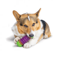 PetSafe Busy Buddy Ultra Thick Natural Rawhide Rings Dog Treats
