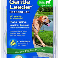 Petsafe Gentle Leader Blue Quick Release Headcollar for Dogs