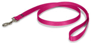 PetSafe Premier Raspberry Nylon Dog Leash