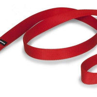 PetSafe Premier Red Nylon Dog Leash