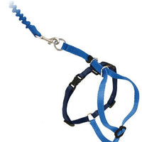 PetSafe Come with Me Kitty Royal Blue and Navy Harness and Bungee Leash for Cats