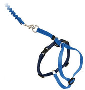 PetSafe Come with Me Kitty Royal Blue and Navy Harness and Bungee Leash for Cats