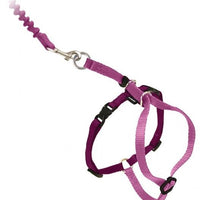 PetSafe Come with Me Kitty Dusty Rose and Burgundy Harness and Bungee Leash for Cats