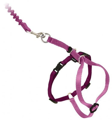 PetSafe Come with Me Kitty Dusty Rose and Burgundy Harness and Bungee Leash for Cats