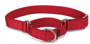 PetSafe Premier Martingale Red Pet Collar