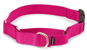 PetSafe Premier Martingale Raspberry Quick Snap Pet Collar