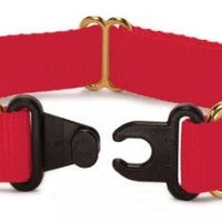 PetSafe Keep Safe Break Away Red Dog Collar