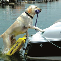 Pawz Pet Products Dog Boat Ladder
