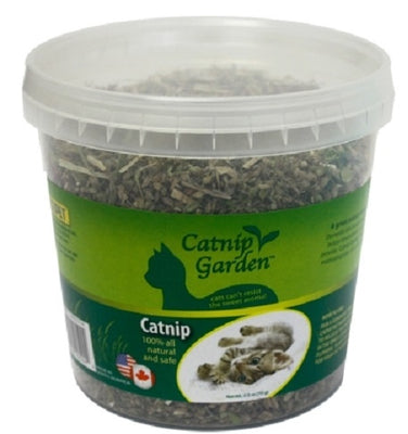 MultiPet Catnip Garden Catnip Cup for Cats