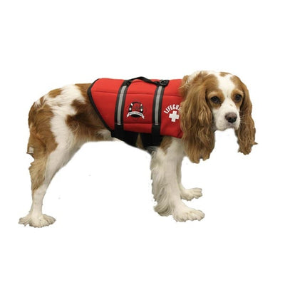 Paws Aboard Dog Life Jacket