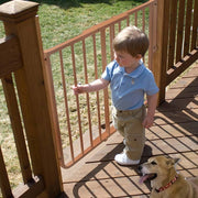 Cardinal Gates Stairway Special Outdoor Wall Mounted Pet Gate