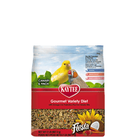 Kaytee Fiesta Canary and Finch Food 2 Pound