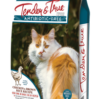Tender & True Antibiotic-Free Chicken and Brown Rice Recipe Dry Cat Food