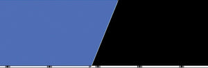 Blue Ribbon Double-Sided Background 24" 50ft Black/Blue
