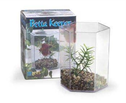 Lee's Betta Keeper with Lid, Gravel and Plant - Small
