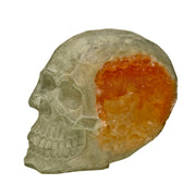 Blue Ribbon Exotic Environments Skull Geode Stone