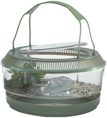 Lee's Fire Belly Landing, Round w/Lid, Handle, Tray, Plant