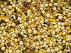 Higg Pigeon Grain Supreme 15 With Popcorn 50lb