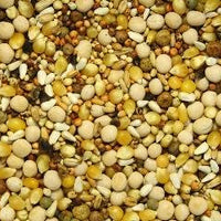 Higg Pigeon Grain Supreme 15 With Popcorn 50lb