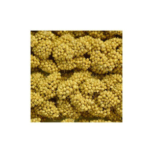 Higgins Spray Millet 5lb