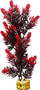 Blue Ribbon Gravel Base Plant - Large Bush Plant Red
