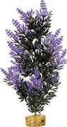 Blue Ribbon Gravel Base Plant - Large Bush Plant Black Purple