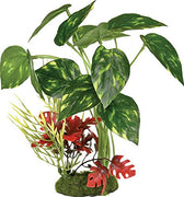 Blue Ribbon ColorBurst Florals Pothos Variegated Leaf Cluster