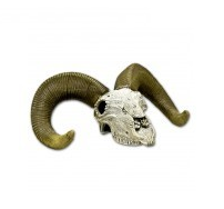 Blue Ribbon Desert Skull - Ram's Head Skull 12.58.55