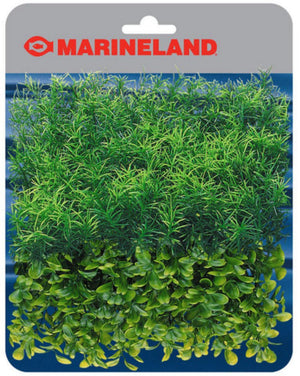 Marineland Springiri & Boxwood Plant Mat
