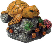 BLUE RIBBON PET PRODUCTS EE-365 Exotic Environments Sea Turtle